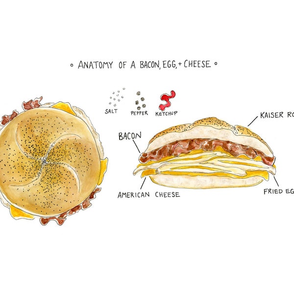 Anatomy of a Bacon, Egg, and Cheese- New York classic print