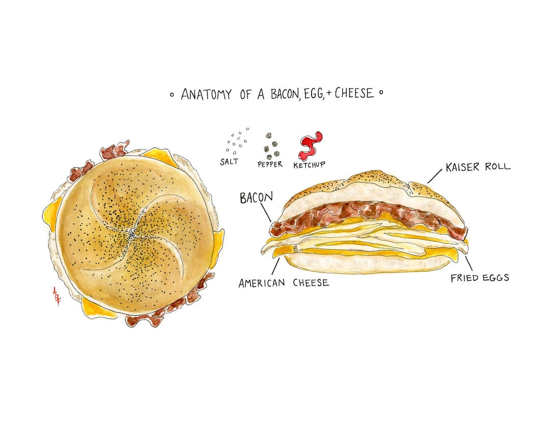 Anatomy of a Bacon, Egg, and Cheese New York Classic Print Etsy
