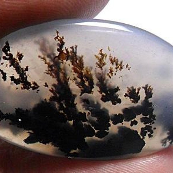 Natural Agate Cabochon Black Dendrite Ferns Landscape Scenic Picture Large 32 ct Gemstone 32x20x6.7mm Oval Grade AAA Quality Take 20% Off