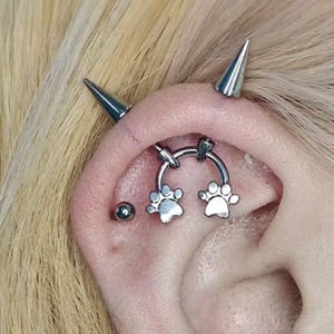 May include: Close-up of an ear with multiple silver piercings. A horseshoe barbell features paw print charms. Other piercings include a small stud, a spike, and dangling cone earrings with chain accents.