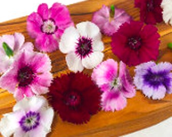 EDIBLE FLOWERS DIANTHUS, Miniature Real Organic Flowers, Bulk, Magenta, Red, Pink  Salad Garnish, Drinks, Citrus Taste 50 Edible Flowers