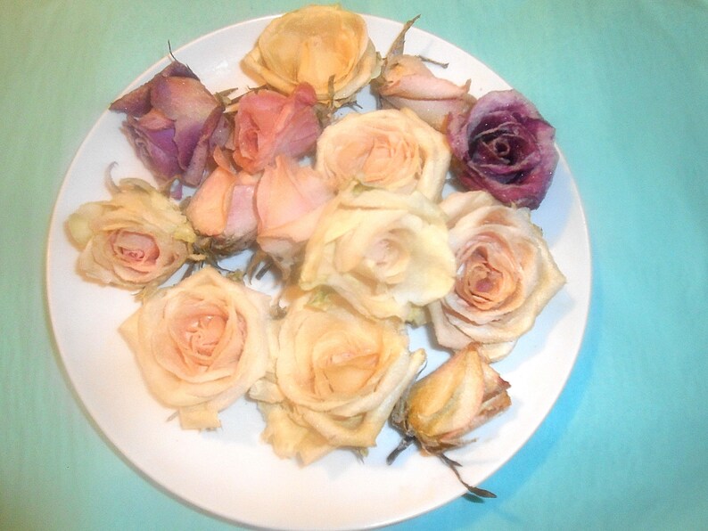 PASTEL CANDIED ROSES Crystallized Roses Organic Edible Etsy