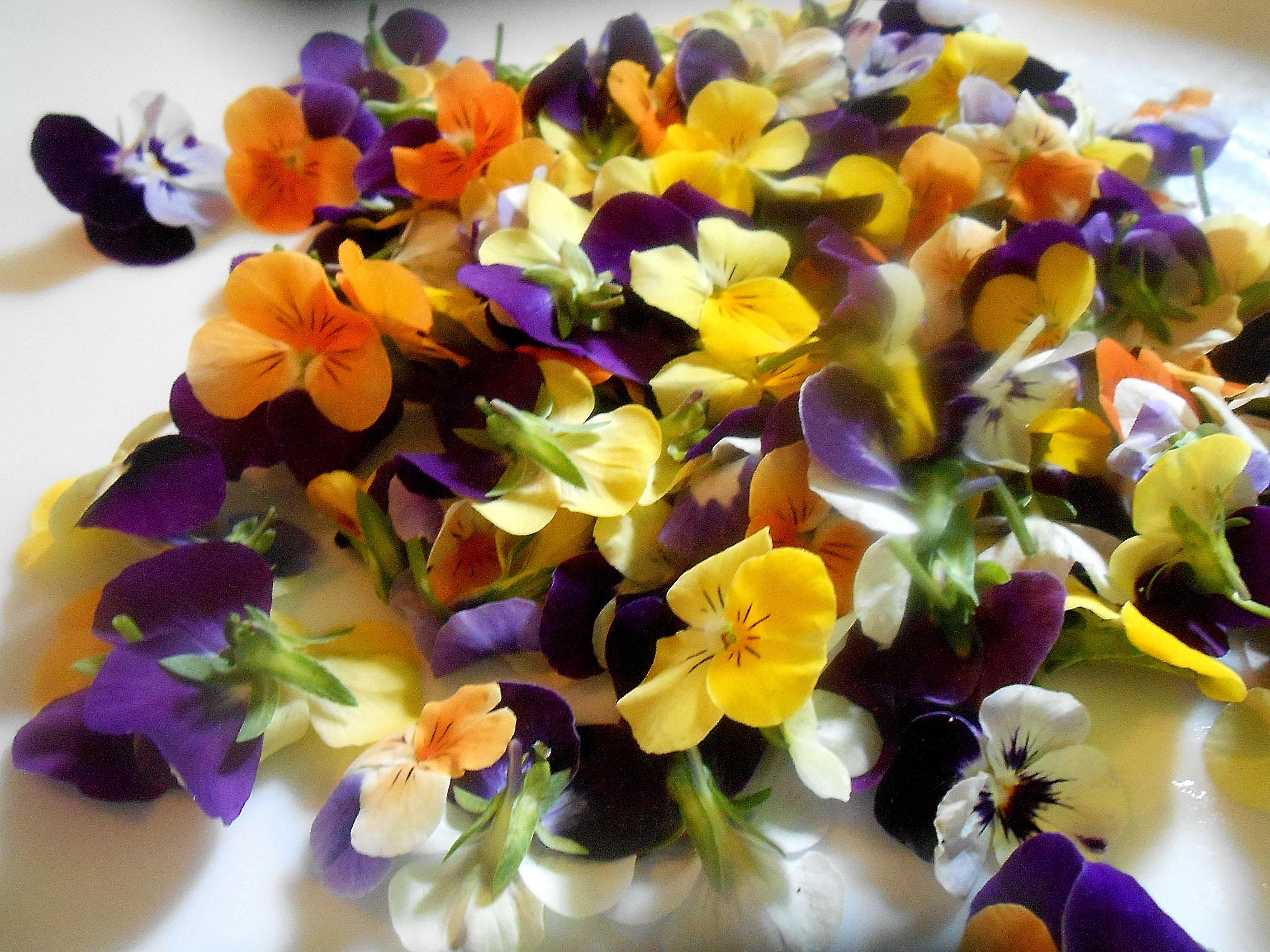 EDIBLE FLOWERS VIOLAS 50 Bright Color Collection Fresh Edible Etsy