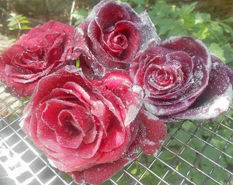 Sugar Candied Roses, Crystallized Roses, Edible Flowers, Weddings, Gift for Baker