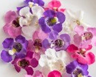 Fresh  TINY ORCHIDS 100 Overnight  Multi colors only