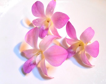 ORGANIC EDIBLE ORCHIDS, Gourmet Real orchids, Small Lavender Pink and White Shades Orchids, Over Night Shipping Wedding Cakes,Bulk 25