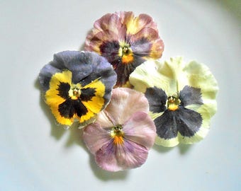 CRYSTALLIZED EDIBLE PANSIES, Purples, Blues, Yellows, Burgundy, Mixed Colors, Large, Cake Decorations