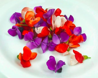 EDIBLE BEAN BLOSSOMS 50