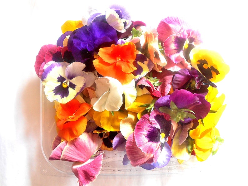 EDIBLE FLOWERS PANSIES Real Organic Strong Color Etsy