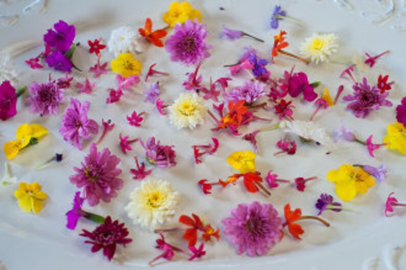 FRESH EDIBLE FLOWERS 75 to 100 Pink Spring Collection Wedding Etsy