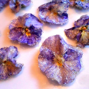 Gourmet, Candied Flowers, Crystallized, Long Lasting, Edible, Weddings, Cupcake Toppers