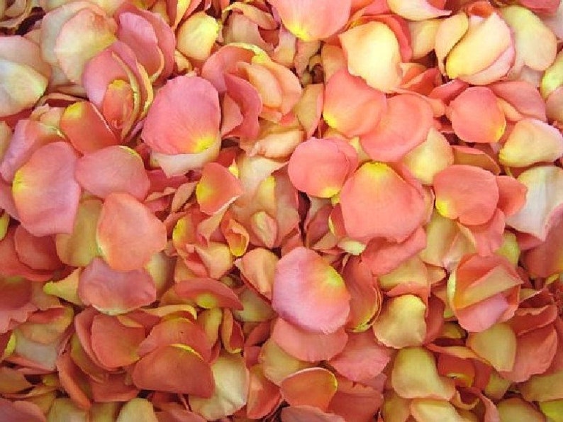 ROSE GOLD WEDDING Real Roses Metallic Gold Edible Flowers Etsy