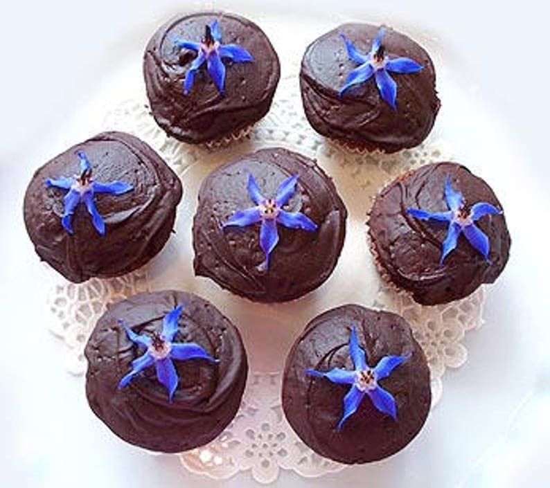 REAL EDIBLE BORAGE100 Cobalt Blue Edible Flowers Bulk Etsy
