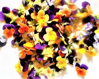 EDIBLE FLOWERS VIOLAS 50 Overnight Bright Color Collection Fresh, Edible Flower, Preservation, Drink Toppers, Cupcake Toppers, Decorations