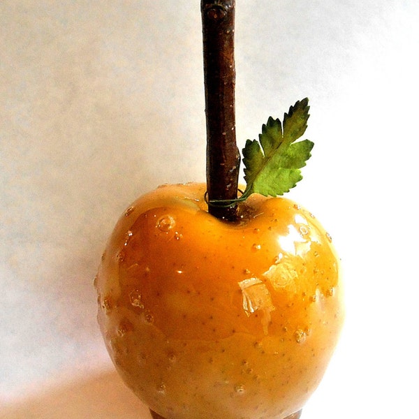 Candy Apples Etsy