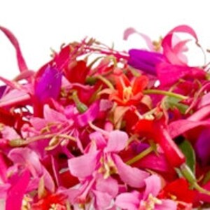 Edible Pink & Burgundy Red Rose Dried Flower Petals – Food Grade