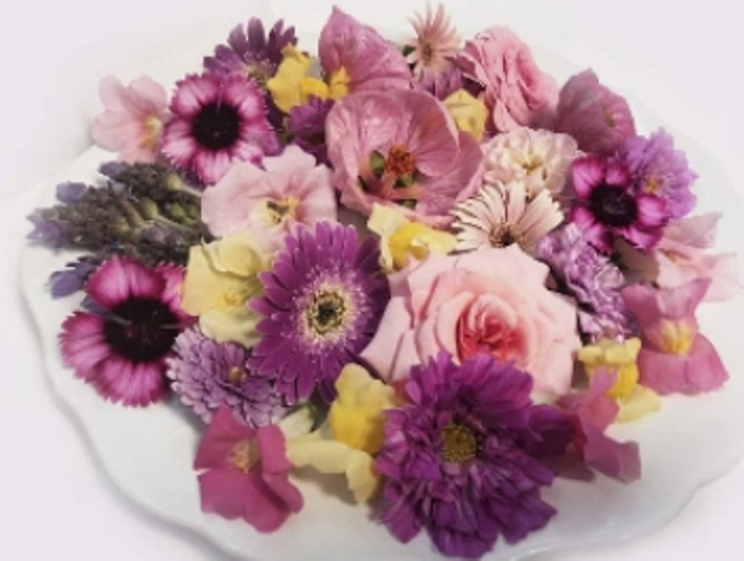 FRESH EDIBLE FLOWERS 75 to 100 Pink Spring Collection Wedding Etsy