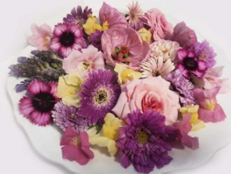 FRESH EDIBLE FLOWERS 75 to 100 Pink Spring Collection Wedding Etsy