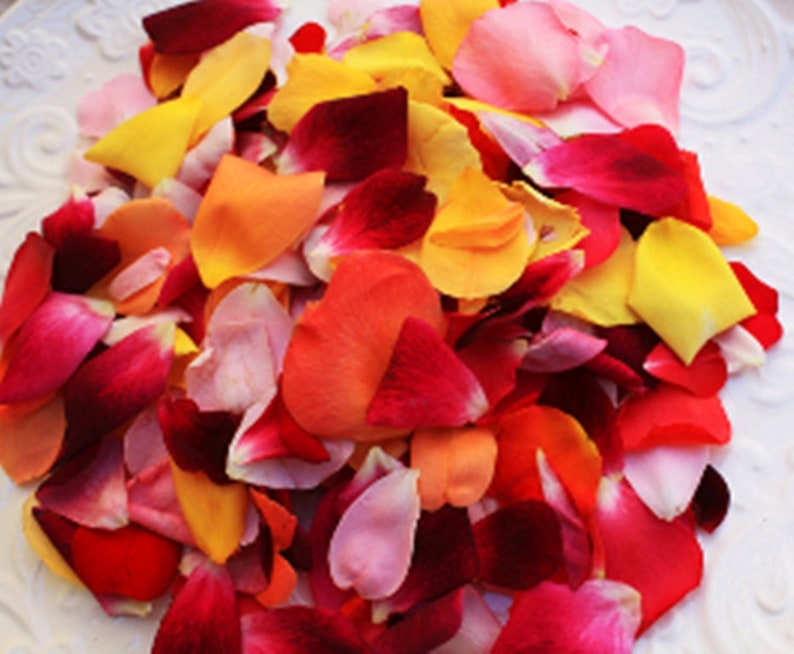 EDIBLE ROSE PETALS Mixed Colors Rose Petals Assortment Real Etsy
