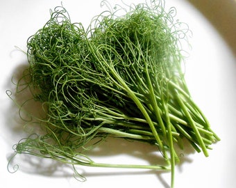 FRESH PEA TENDRILS, Garnish, Side Dish, Salad Topper, Edible Decorative 50 stems restaurant supply Overnight Included