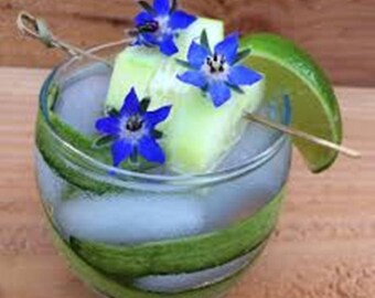EDIBLE FLOWERS BORAGE, Edible Deep Blue Flowers, Salads, Ice Garnishes Hors d'oeuvre Toppers 100 Edible Flower drink garnish edible Mixology