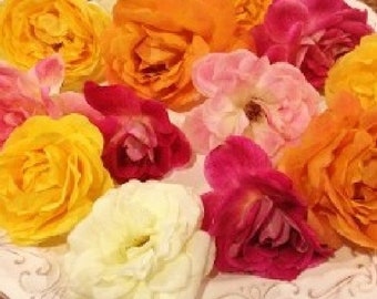 MIXED COLOR EDIBLE - Fresh Roses - 25 Bulk Order Shipped Overnight  with Ice included