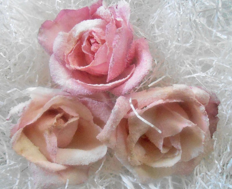 PASTEL CANDIED ROSES Crystallized Roses Organic Edible Etsy
