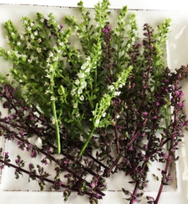 Fresh Organic Shiso Flower Blossoms Branches Edible - 