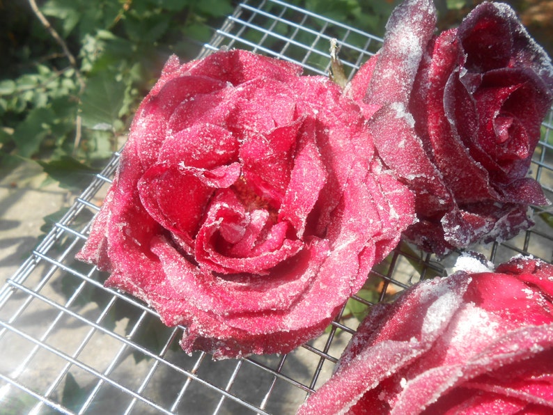 Sugar Coated Roses Crystallized Roses Edible Flowers Etsy