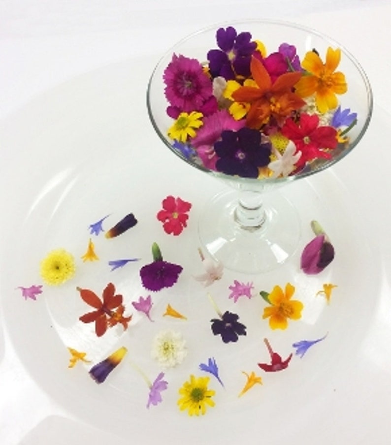 400 Real TINY EDIBLE FLOWERS Bright Color Collection Edible Etsy