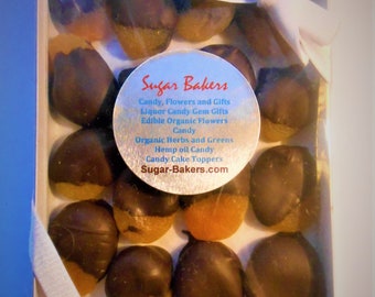 TENDER MOIST APRICOTS Chocolate Dipped; Gift or Snack Apricots Organic Paleo Gluten Free Healthy Fruit Gift 1 pound