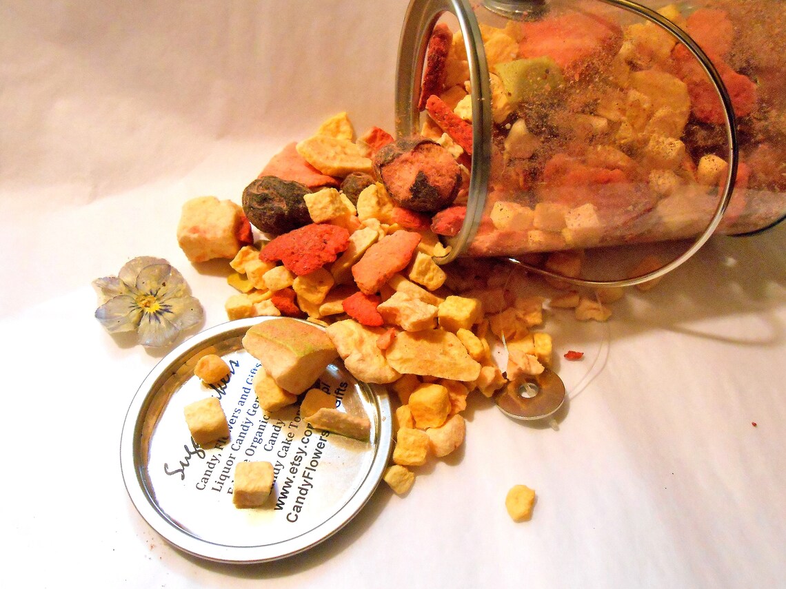 FREEZE DRIED FRUIT Cocktail Chunks Chips Pieces Paleo Etsy