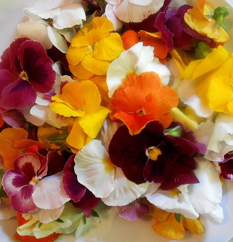 EDIBLE FLOWERS PANSIES Bright Color Collection Fresh Edible Etsy