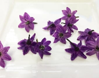 EDIBLE FLOWERS PURPLE Pepper Blossoms, Edible Deep Purple Flowers, Salads,Garnishes Hors d'oeuvre Toppers 100 Edible Flower