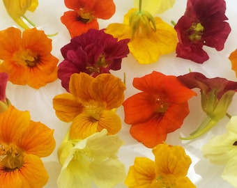 EDIBLE FLOWERS NASTURTIUMS, 50  Overnight Fresh , Red, Burgundy, Orange, Yellow, Flowers, Salads, Wedding Cakes, Cupcake Toppers