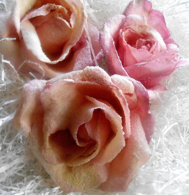 PASTEL CANDIED ROSES Crystallized Roses Organic Edible Etsy