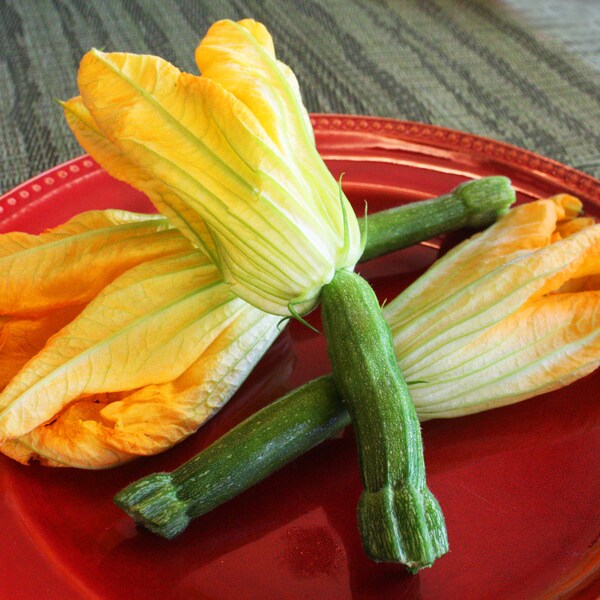 Squash Blossom Etsy