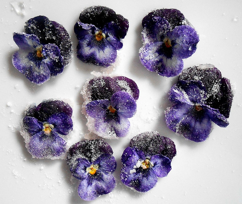 Organic Candied Flowers Edible Violas Edible Flowers Etsy