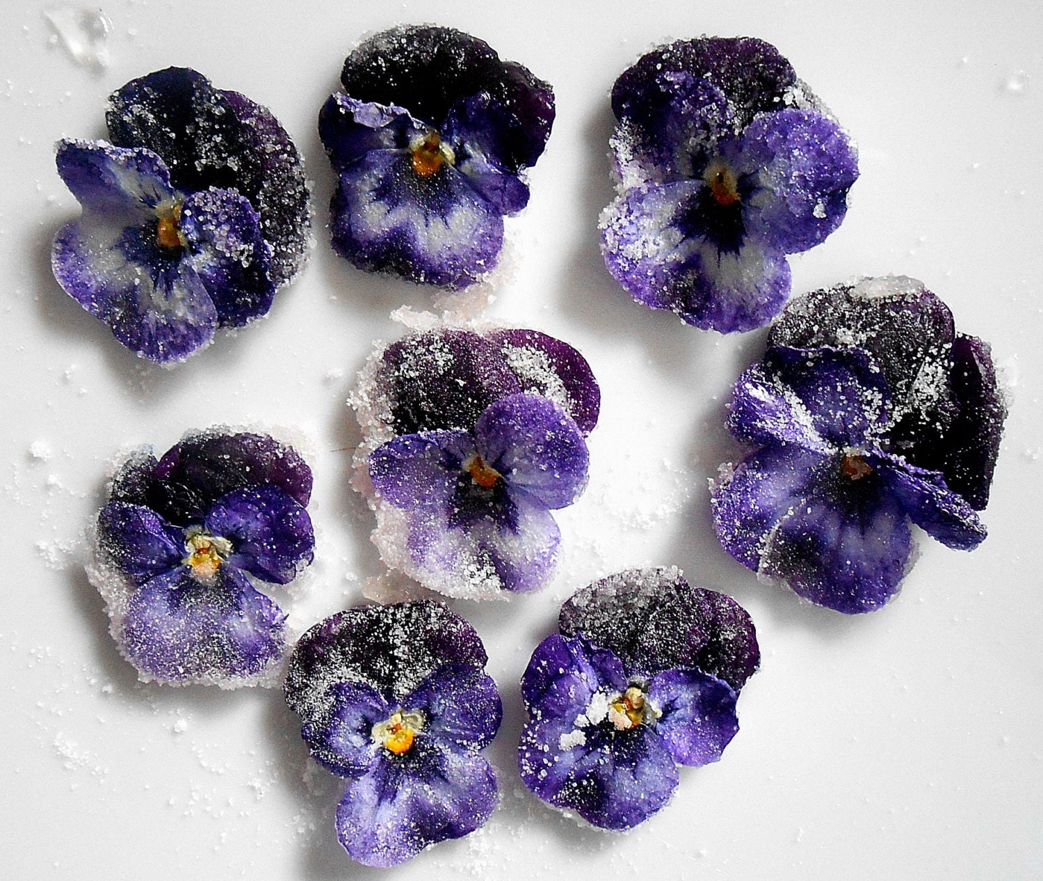 Organic Candied Flowers Edible Violas Edible Flowers Etsy