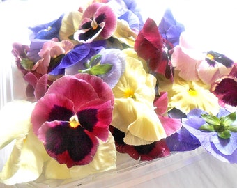 FRESH EDIBLE PANSY 50 ct Overnight Pastel Color Collection Fresh, Edible Flower, Salads, Baking, Drink Toppers, 50