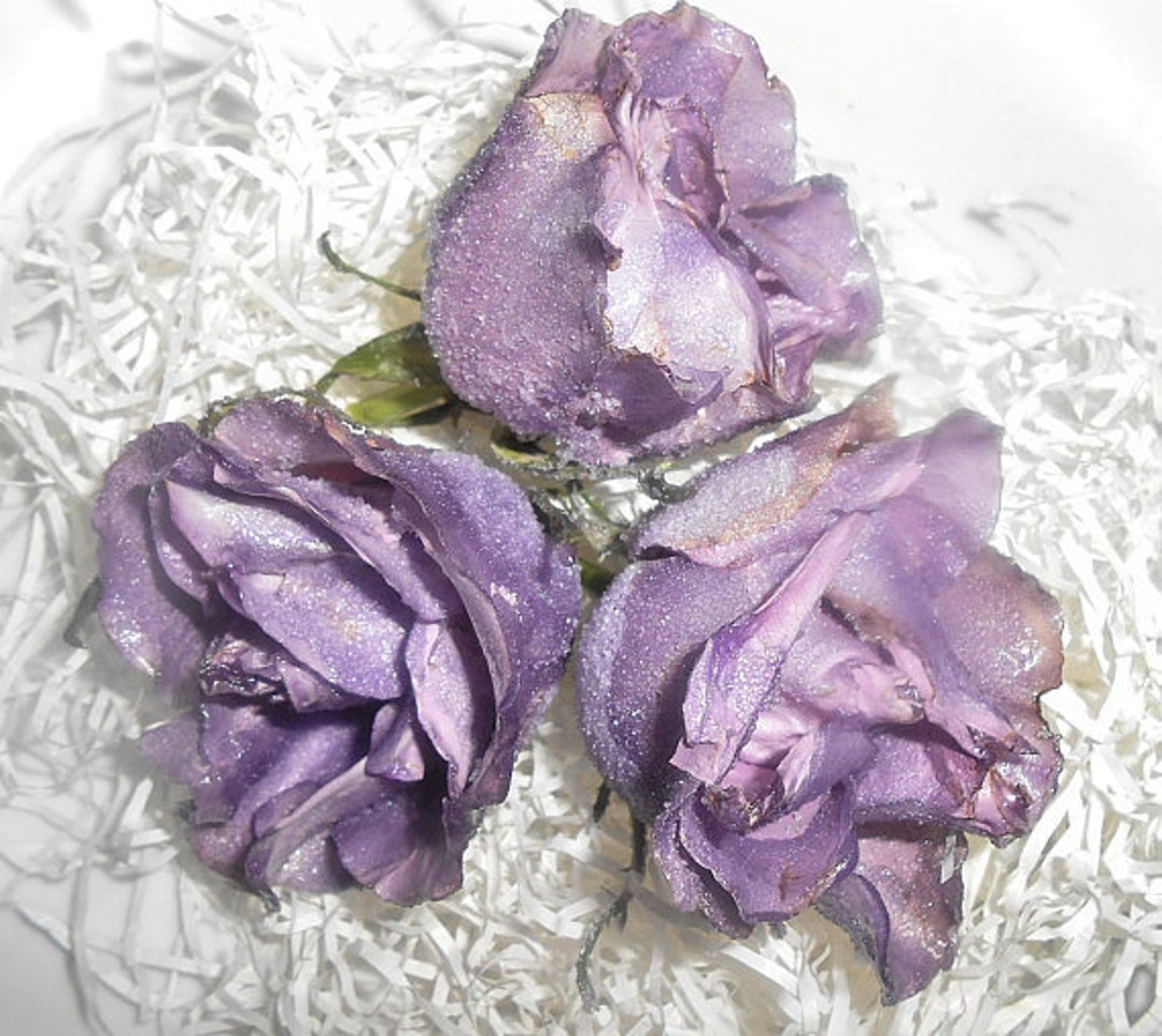 pretty in pink: lavender cordial  Lavender, Edible lavender, Pretty in pink