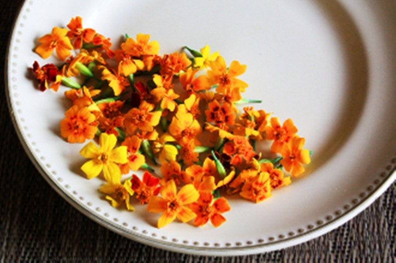 200 EDIBLE MARIGOLDS Micro MARIGOLDS Edible Flowers/ Full Etsy