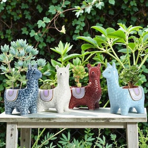 May include: Four ceramic llama planters in blue, white, red, and light blue, each holding a succulent plant. The planters have a decorative saddle design in purple and gold. They are arranged on a white wooden table.