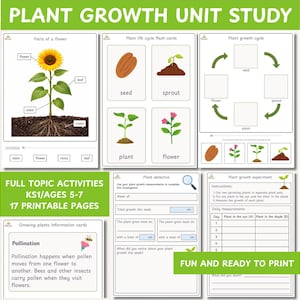 May include: A set of three ceramic mugs with a speckled, matte finish. The mugs are in shades of cream, light gray, and dark gray. Each mug has a simple, minimalist design, perfect for coffee or tea.