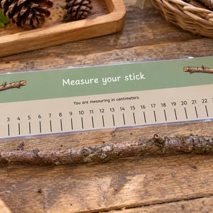May include: A rectangular plastic ruler with a green and beige background featuring the text "Measure your stick" and "You are measuring in centimetres" with markings from 0 to 25 centimetres, accompanied by illustrations of small wooden sticks.