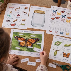 May include: A set of educational activity sheets featuring a minibeast scavenger hunt, a jar illustration, a butterfly count chart, a parts of a butterfly diagram with labels, and butterfly flash cards showing the life cycle stages of an insect.