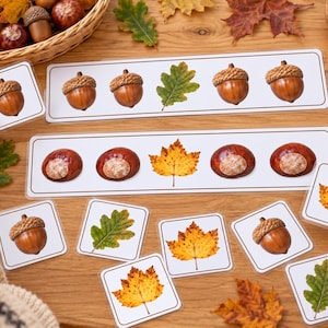 May include: Educational pattern cards featuring sequences of brown acorns, green oak leaves, chestnut-coloured horse chestnuts, and yellow maple leaves. The set includes two long rectangular strips and several square cards with clear autumn imagery.