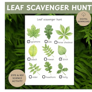 May include: A white printable leaf scavenger hunt chart with watercolor illustrations of various leaves, including sycamore, oak, and birch. The chart includes the text "Leaf Scavenger Hunt" and "Digital Download."