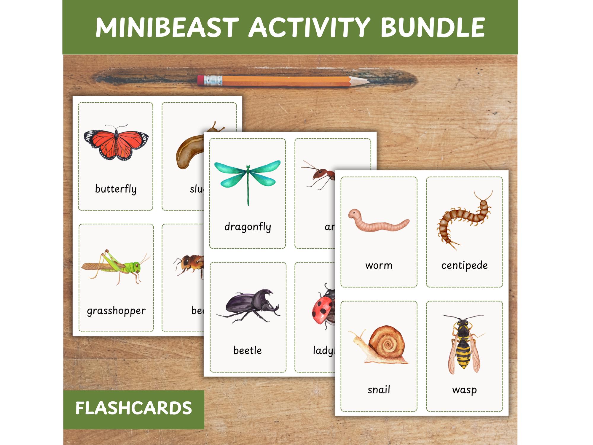 Minibeast Activity Worksheet Printable, Numbers to 10, Forest School ...