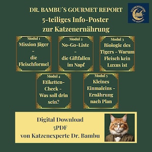 IPO-006 - Cat Nutrition - Information Poster Set (5 PDFs) – Species-Appropriate Feeding, Poison List & Label Check - Help for Cat Owners - Download